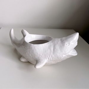 Succulent Shark Planter